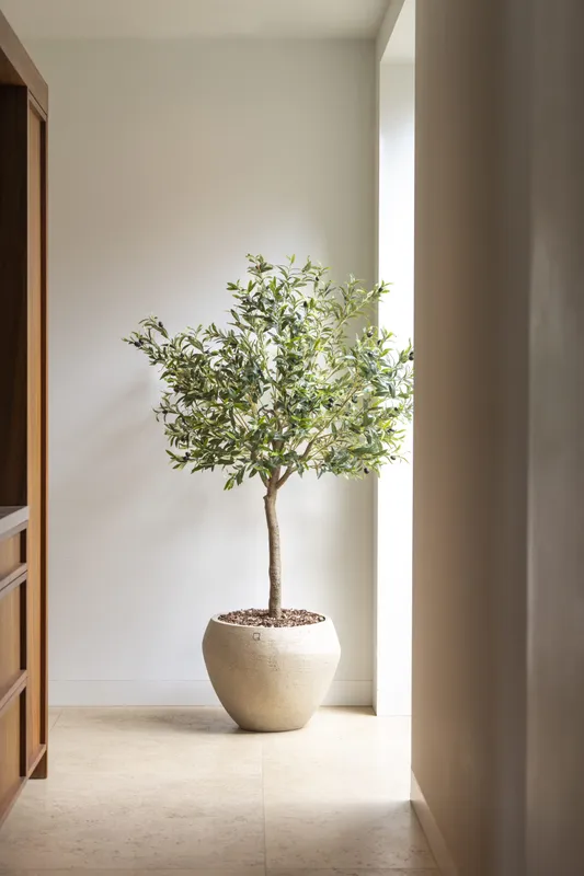 Kunstmatige olijfboom van 180 cm in een beige keramieken pot, geplaatst in een licht, modern interieur.