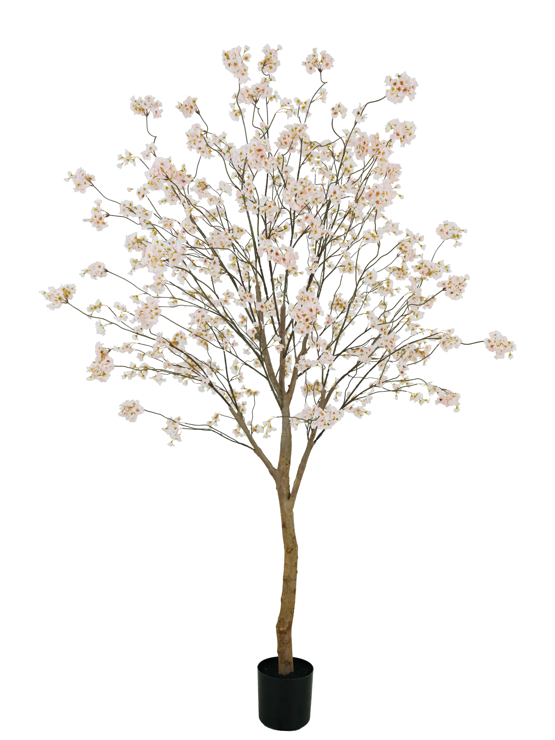 Kunstmatige bloesemboom met crèmekleurige bloemen in een zwarte pot, geïsoleerd tegen een witte achtergrond.