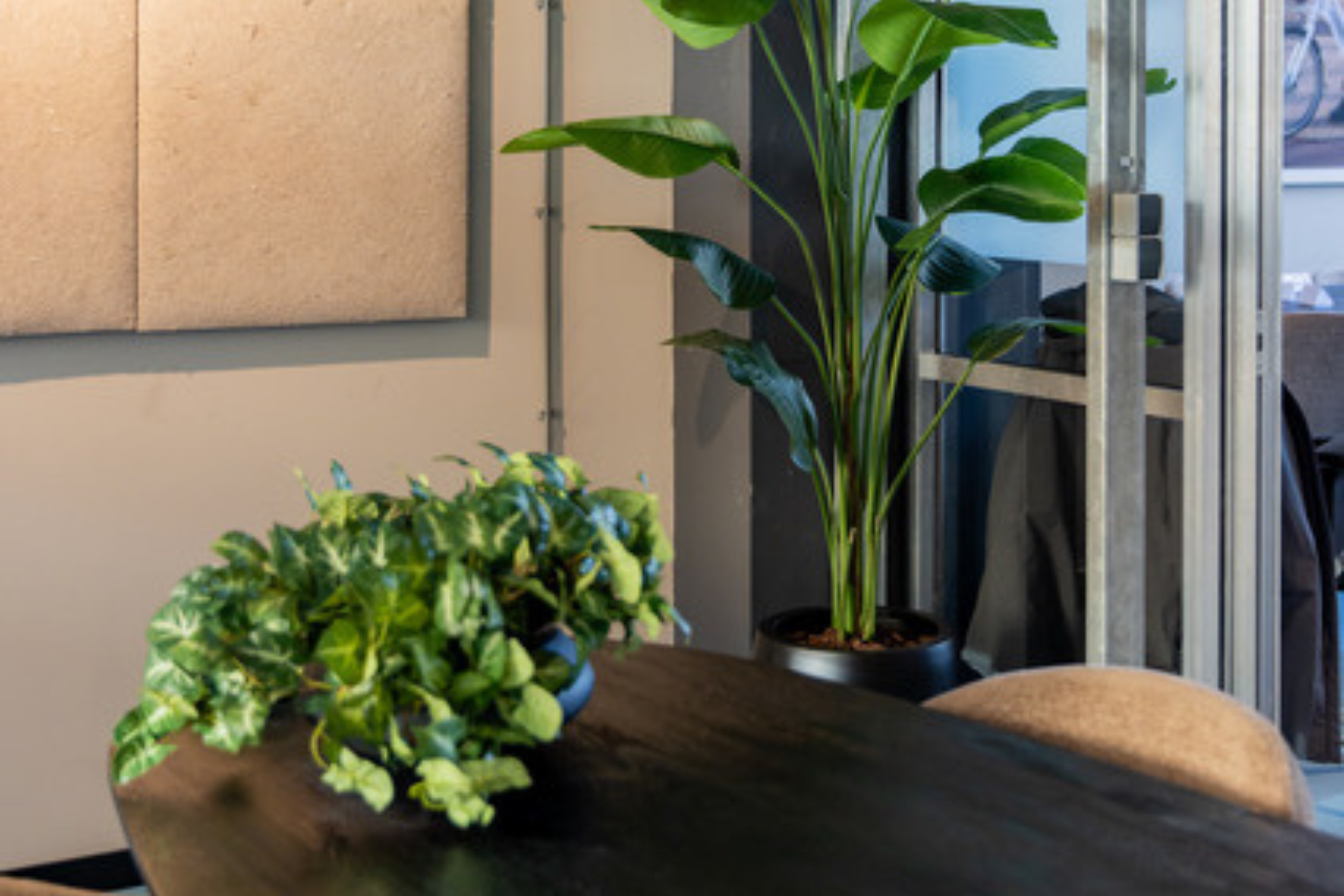 Een plant in de keuken kan dat eigenlijk wel