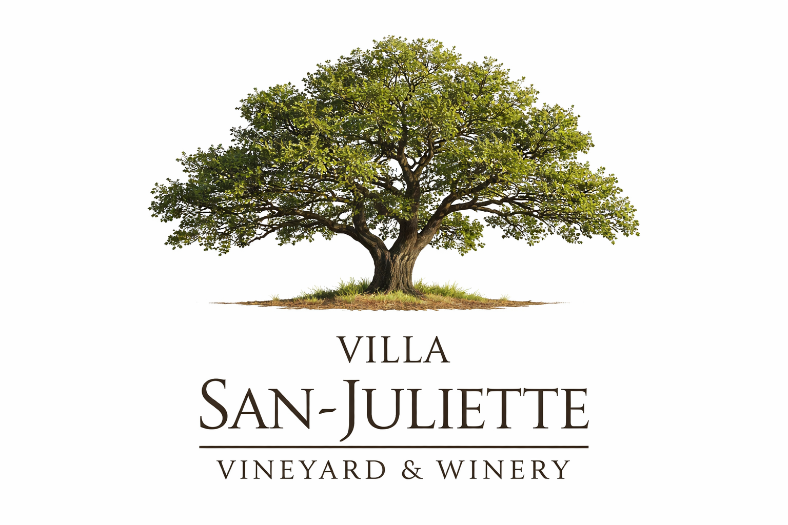 Villa San-Juliette