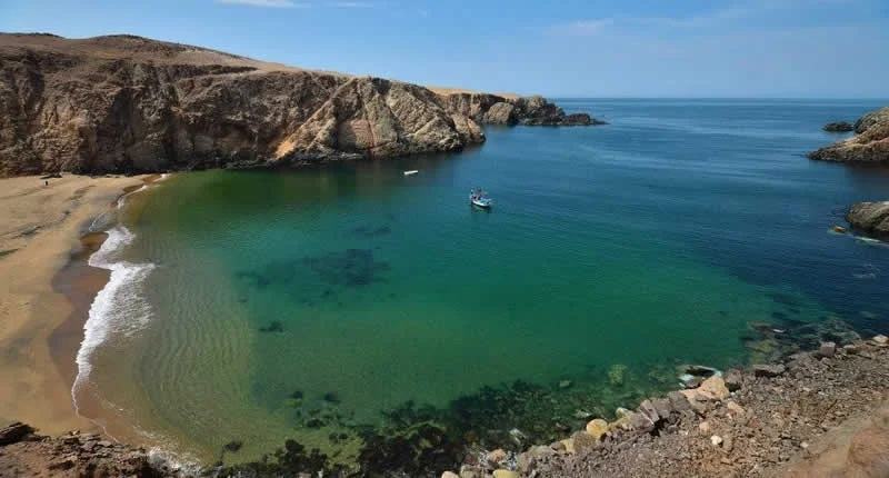 Circuito de Playas y Caletas de Arequipa - Tour a la Costa desde Arequipa - imagen 4