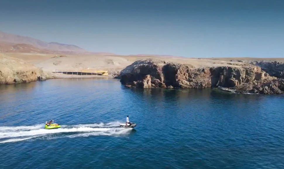 Circuito de Playas y Caletas de Arequipa - Tour a la Costa desde Arequipa - imagen 5