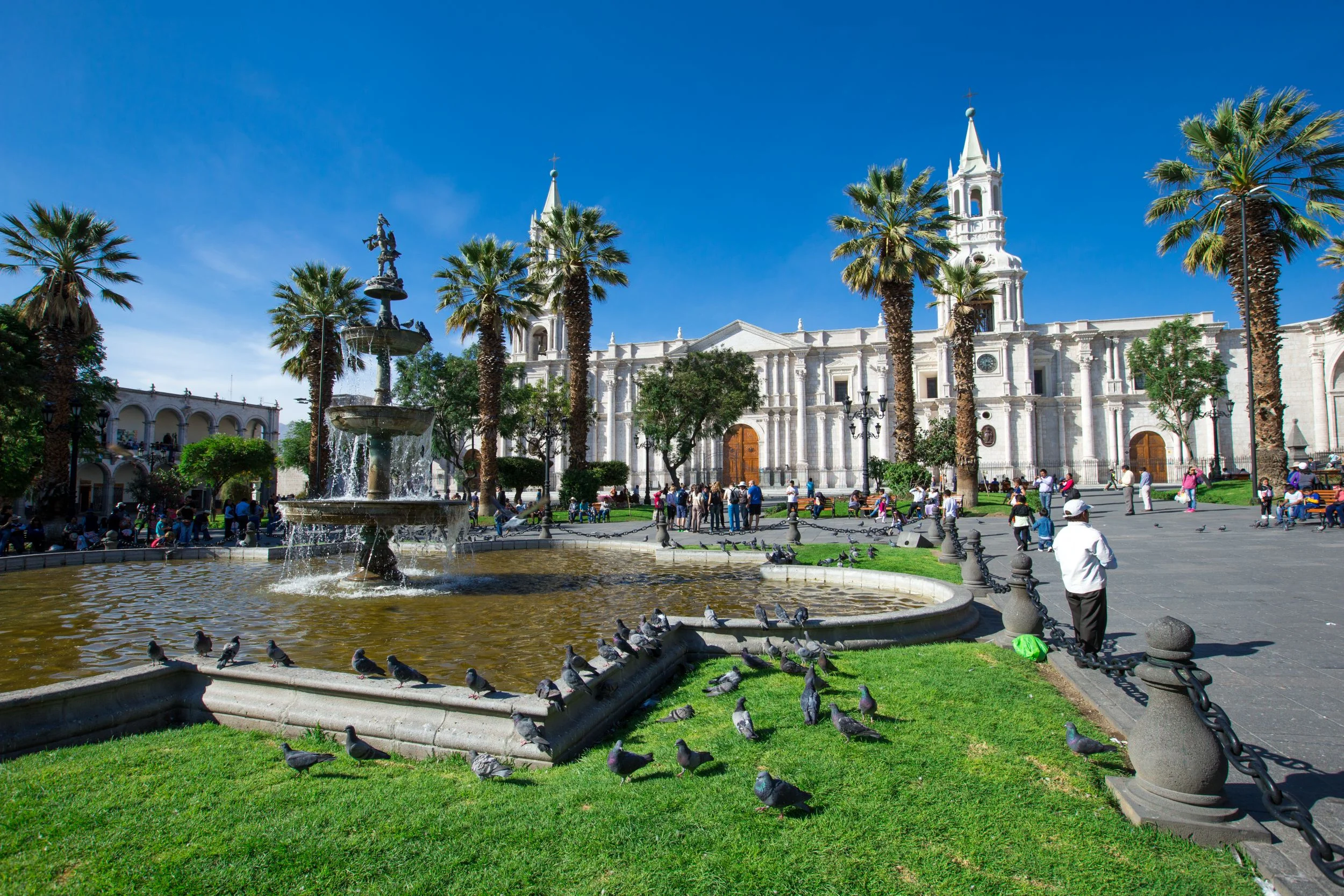 City Tour Peatonal Arequipa + Monasterio de Santa Catalina - Centro Histórico - imagen 4