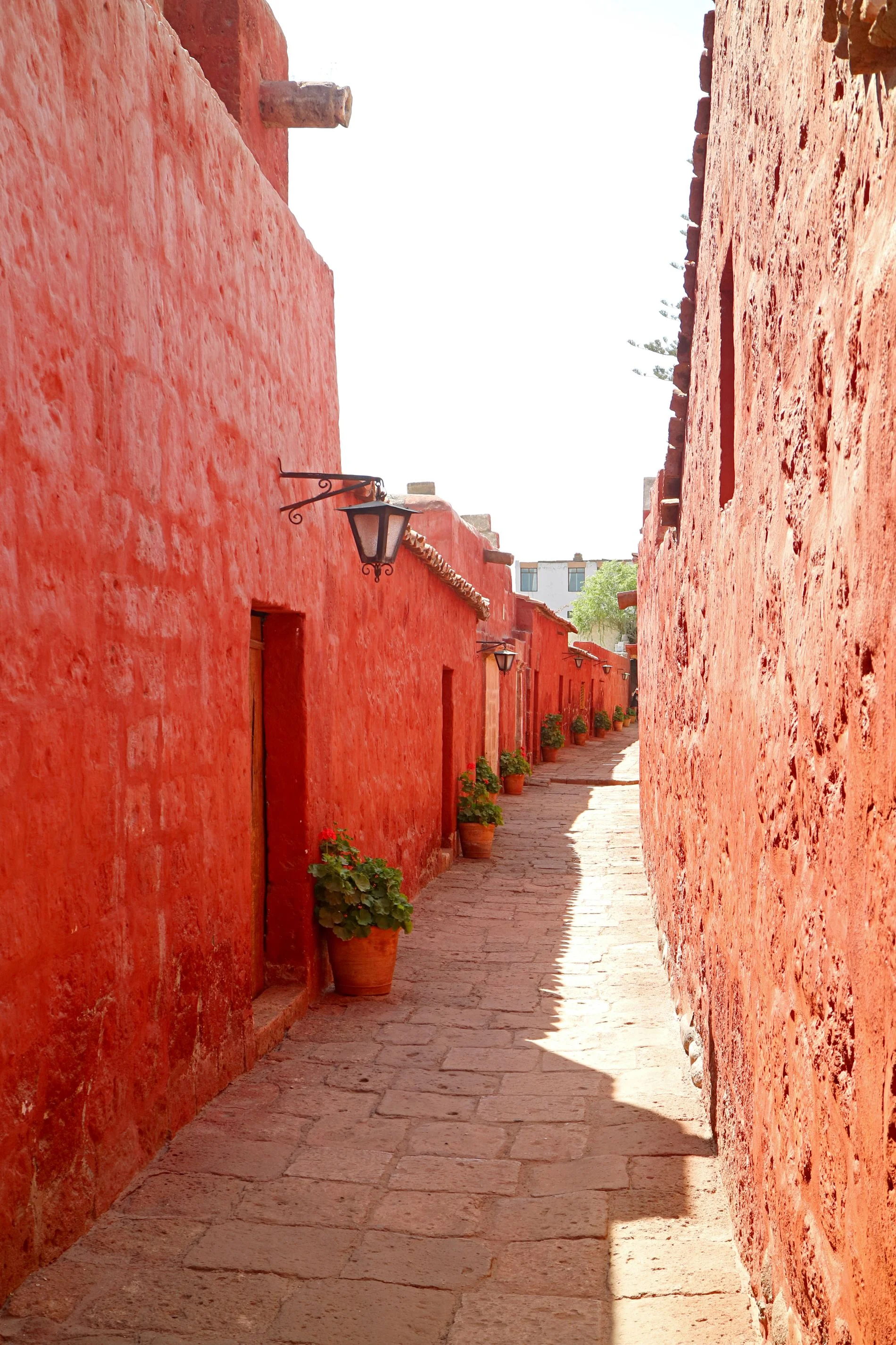 City Tour Peatonal Arequipa + Monasterio de Santa Catalina - Centro Histórico - imagen 3