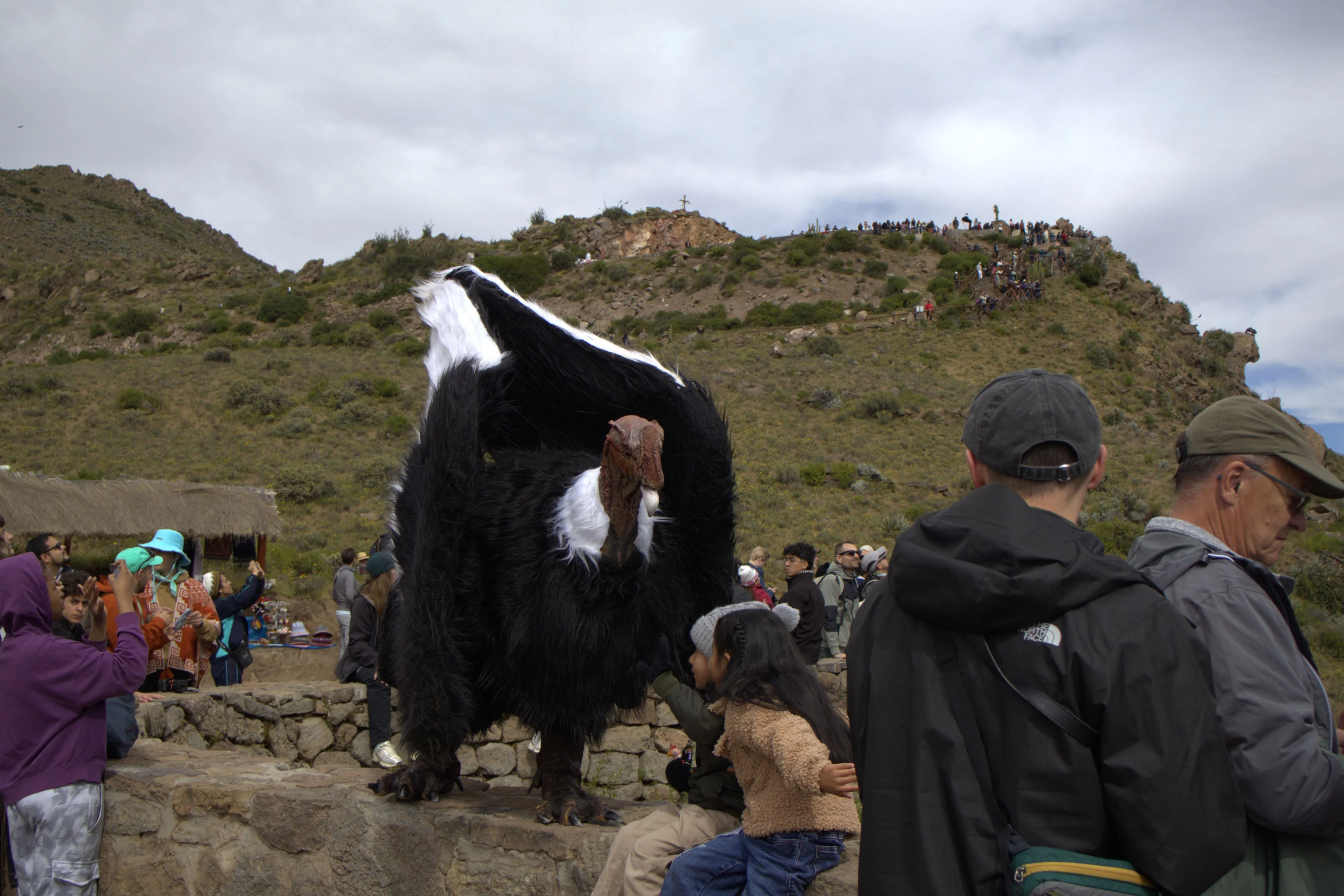 Colca Trekking 2D/1N - Caminata a Sangalle, Cabanaconde y Cruz del Cóndor - imagen 5