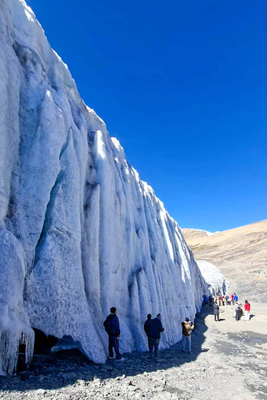 Tour Glaciar Quelccaya en un Solo Día - imagen 3