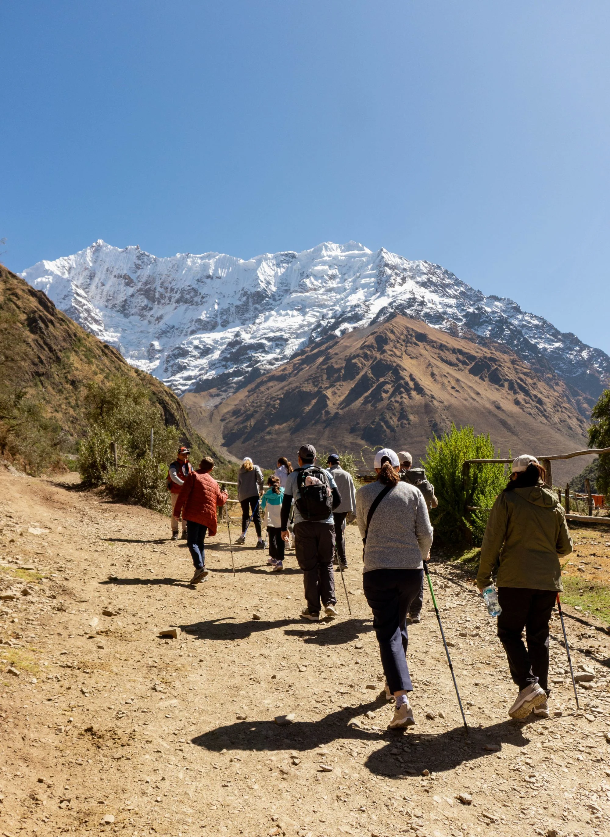 Tour Laguna Humantay - Trekking al Nevado Salkantay - imagen 4