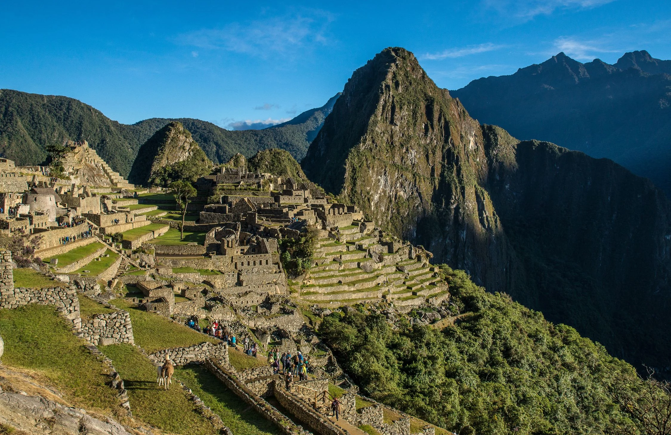 Tour Machu Picchu Full Day para Peruanos - Tren Local - imagen 5