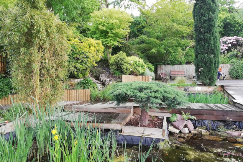 Journée au Jardin Botanique