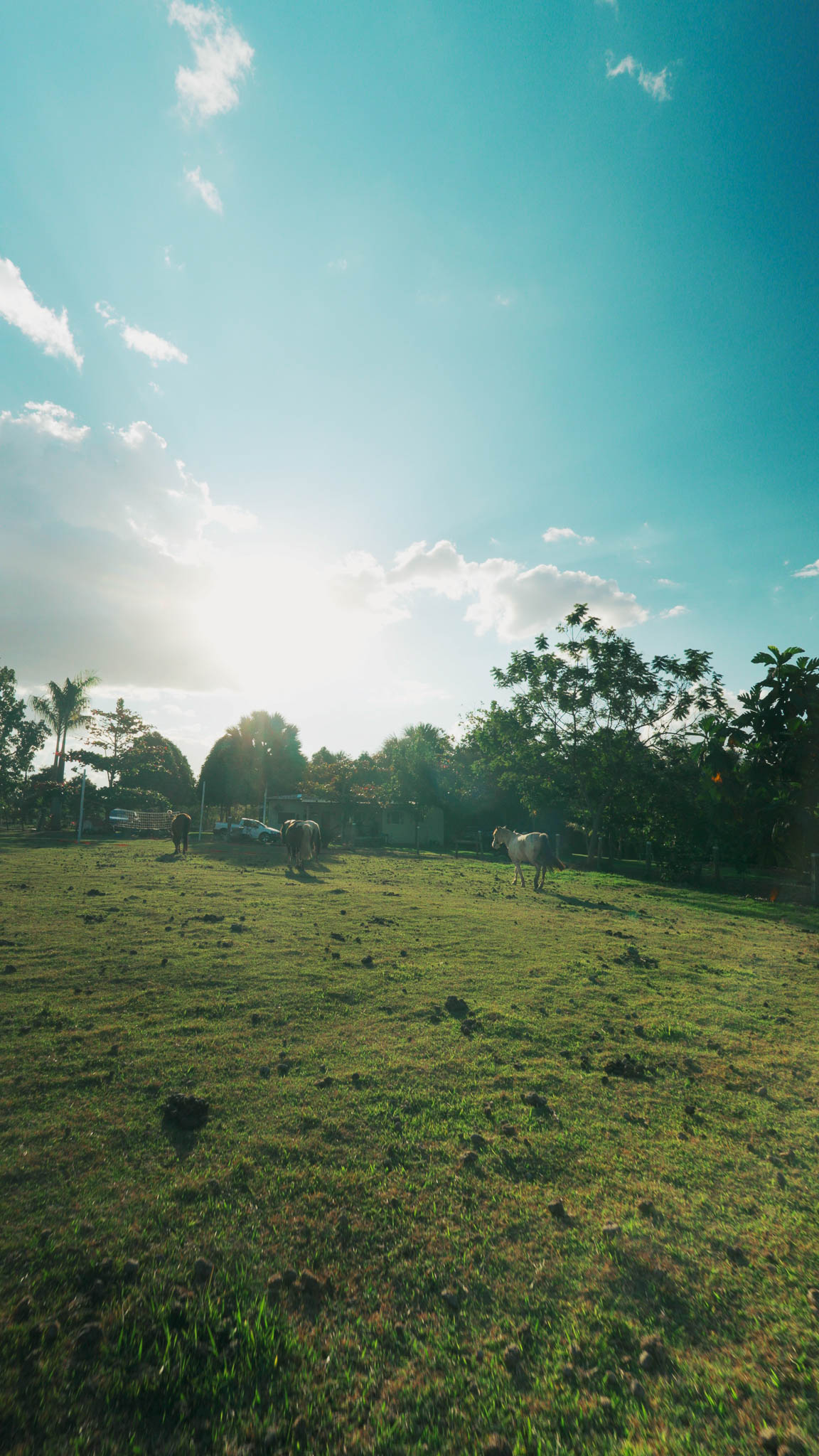 Chácara 15 hectares à venda na MT-449 – Lucas do Rio Verde, MT - Foto Principal