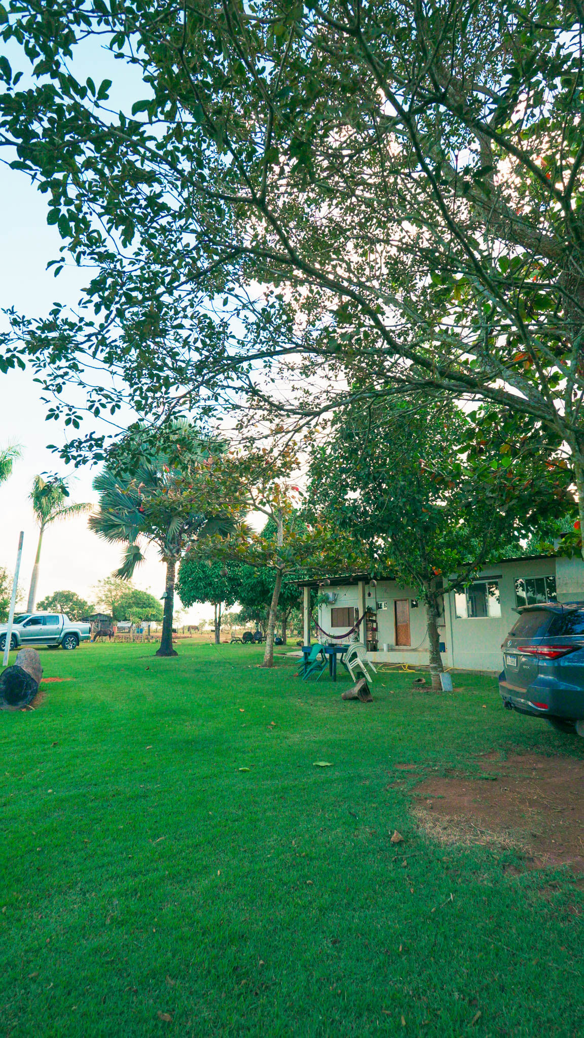 Chácara 15 hectares à venda na MT-449 – Lucas do Rio Verde, MT - Foto 2