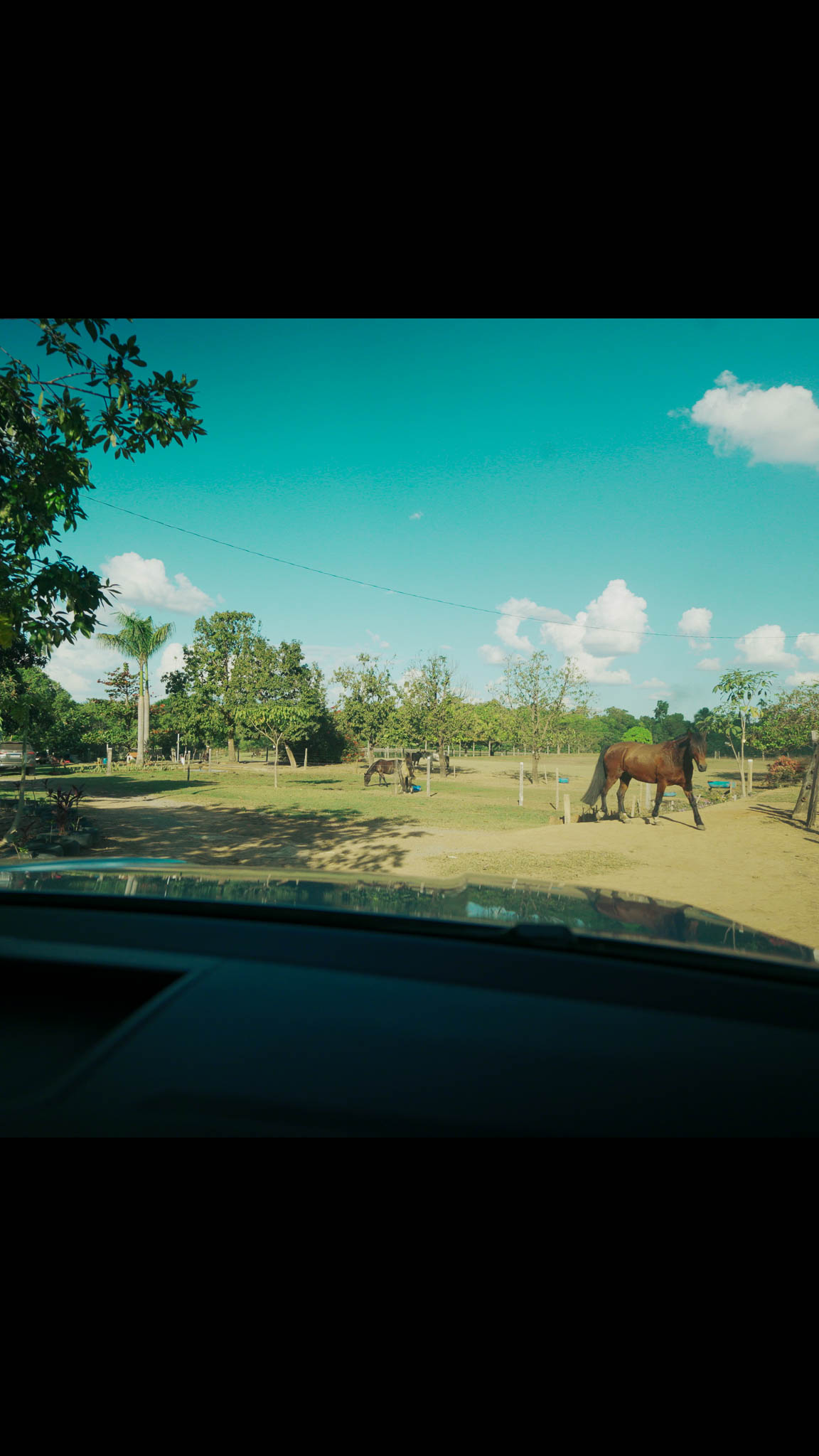 Chácara 15 hectares à venda na MT-449 – Lucas do Rio Verde, MT - Foto 4