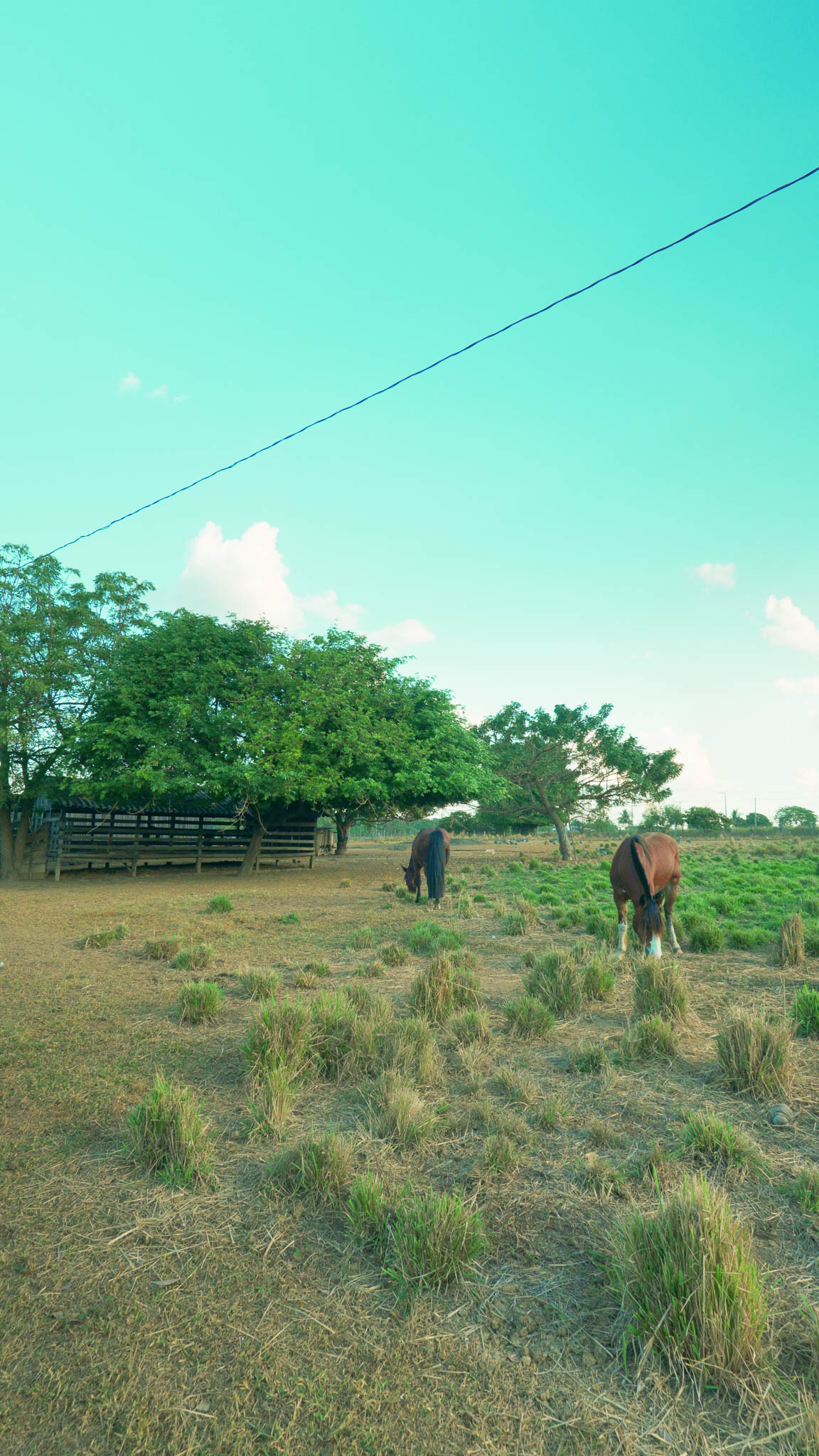 Chácara 15 hectares à venda na MT-449 – Lucas do Rio Verde, MT - Foto 5