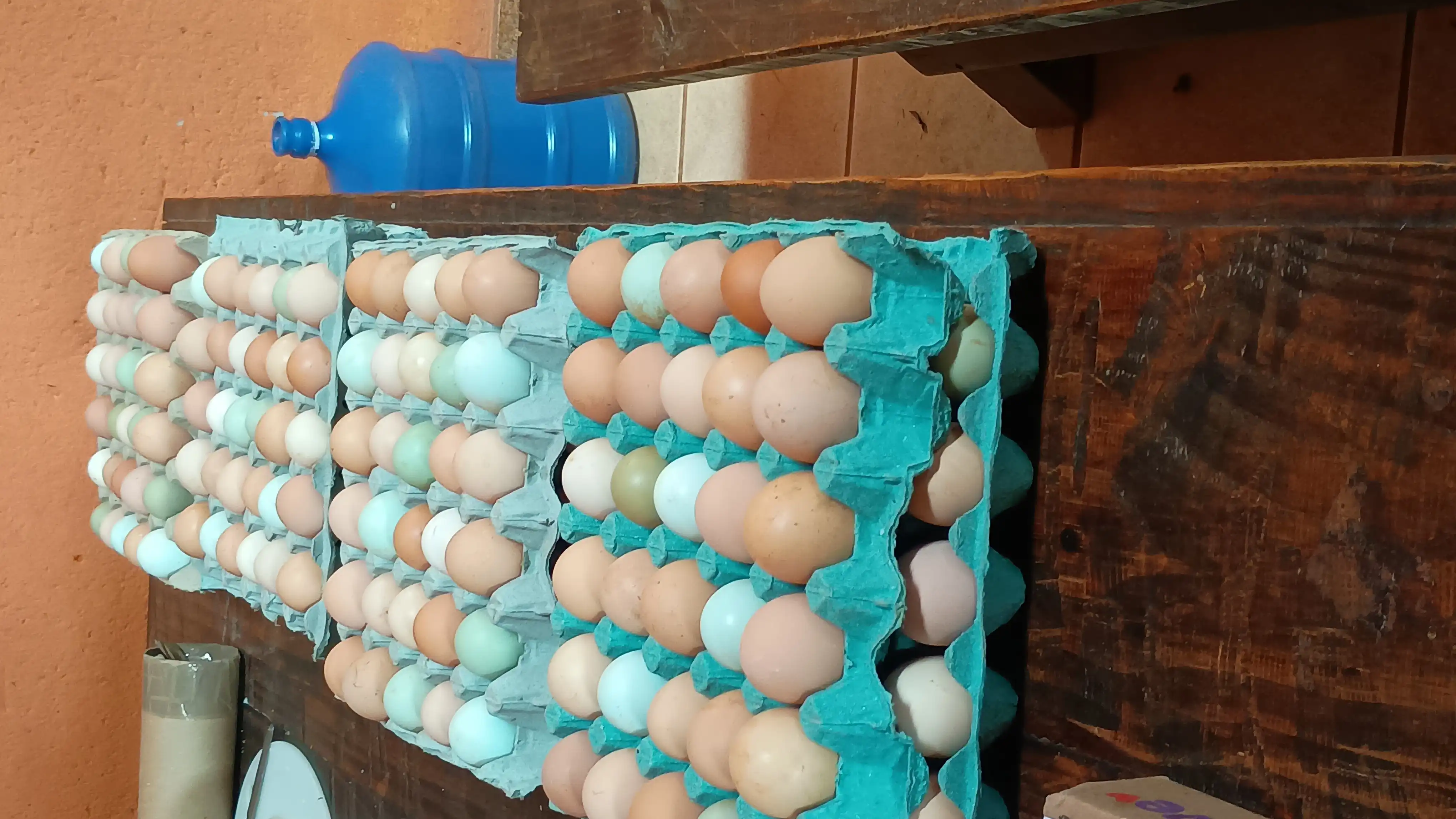 Chalés do Beto em macacos - imagem 2