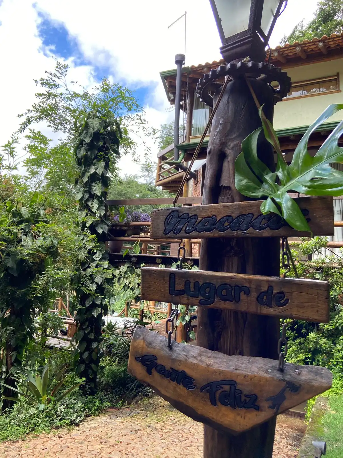 Casa verde.22 - imagem 3