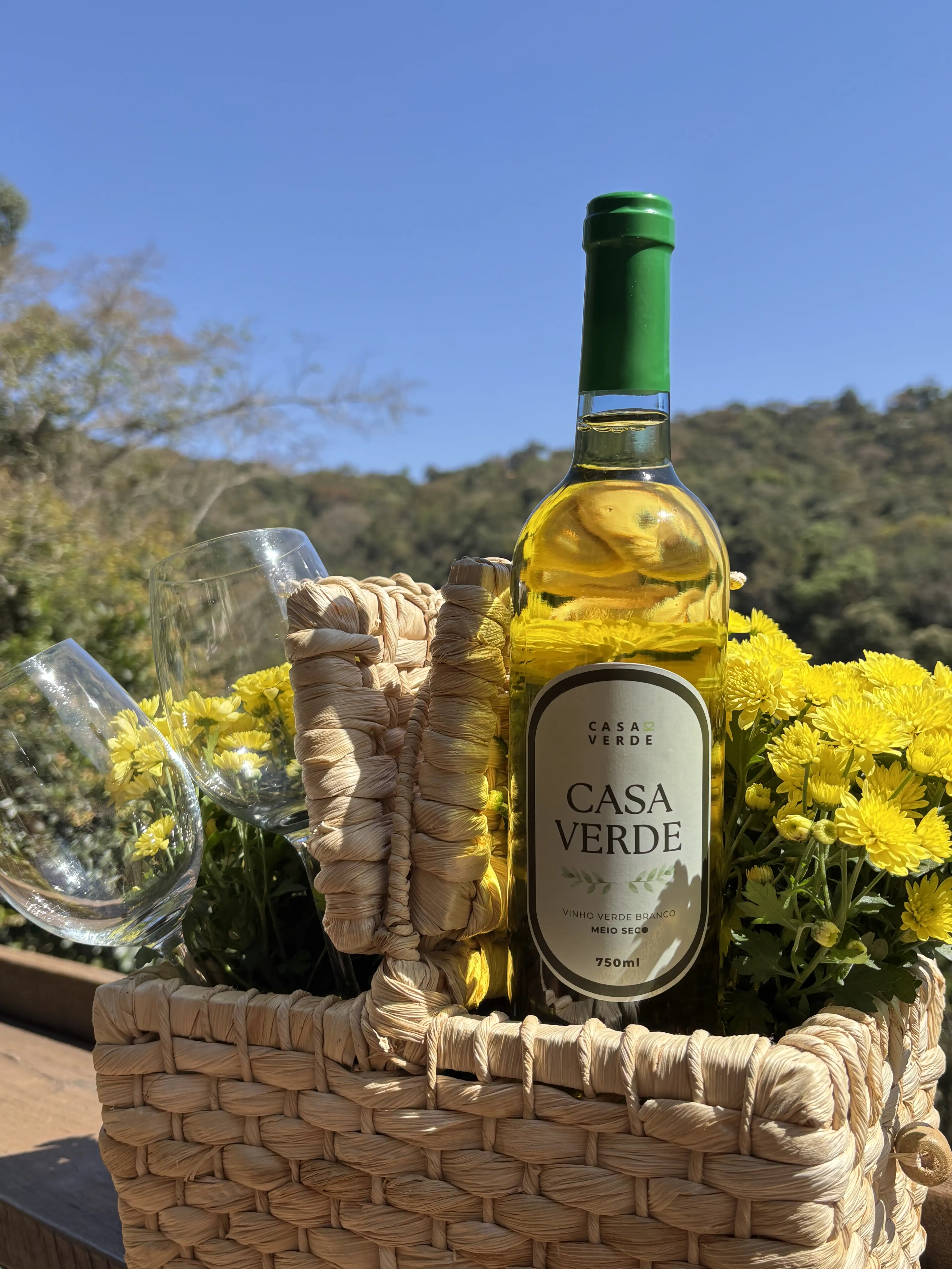 Casa verde.22 - imagem 5