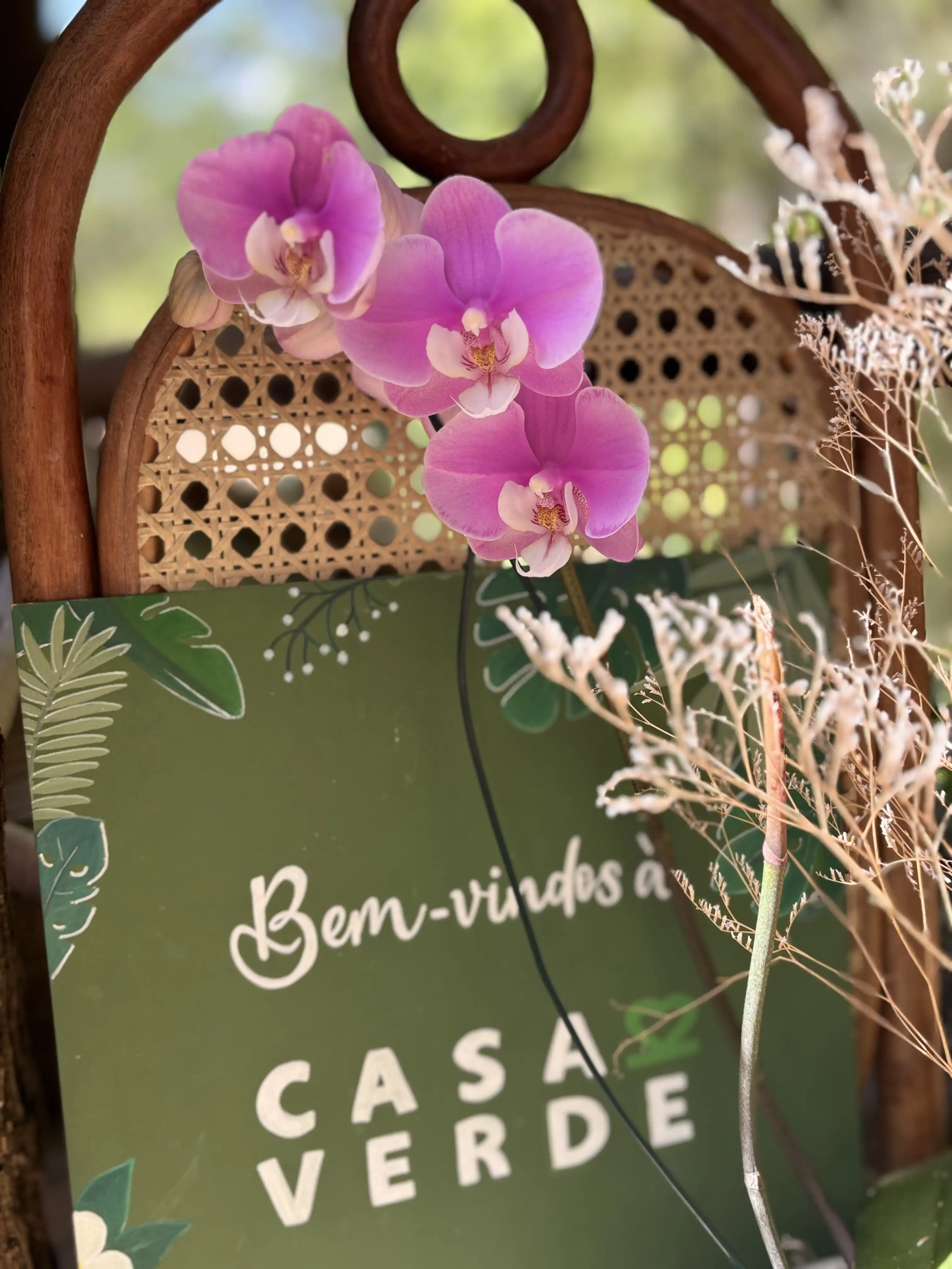 Casa verde.22 - imagem 6