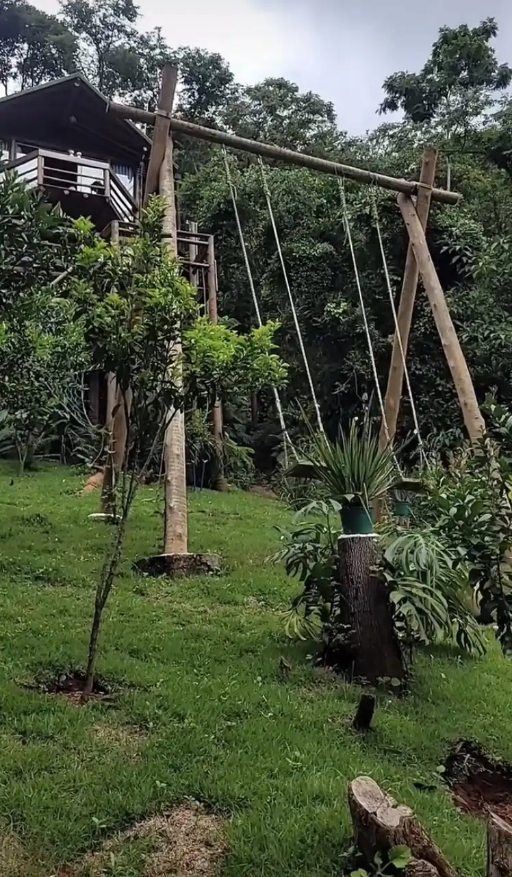 Casa verde.22 - imagem 8