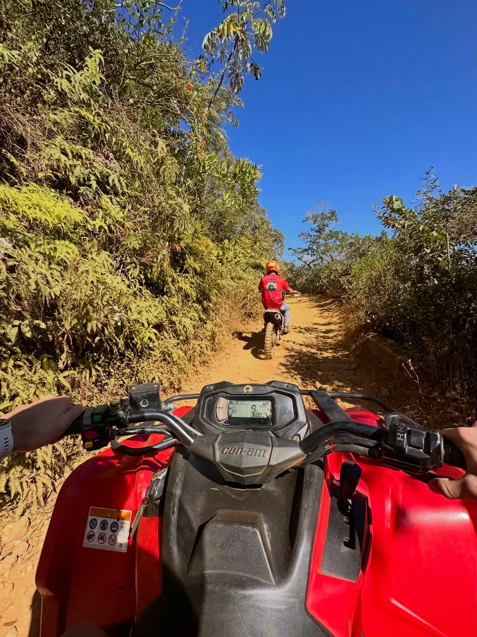 Renato Quadriciclo - imagem 2