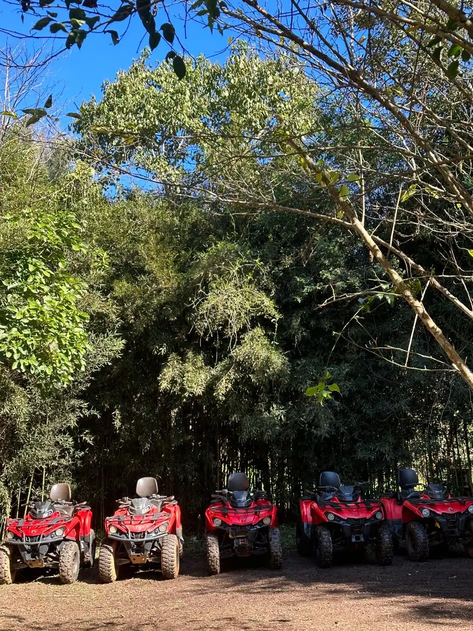 Renato Quadriciclo - imagem 5