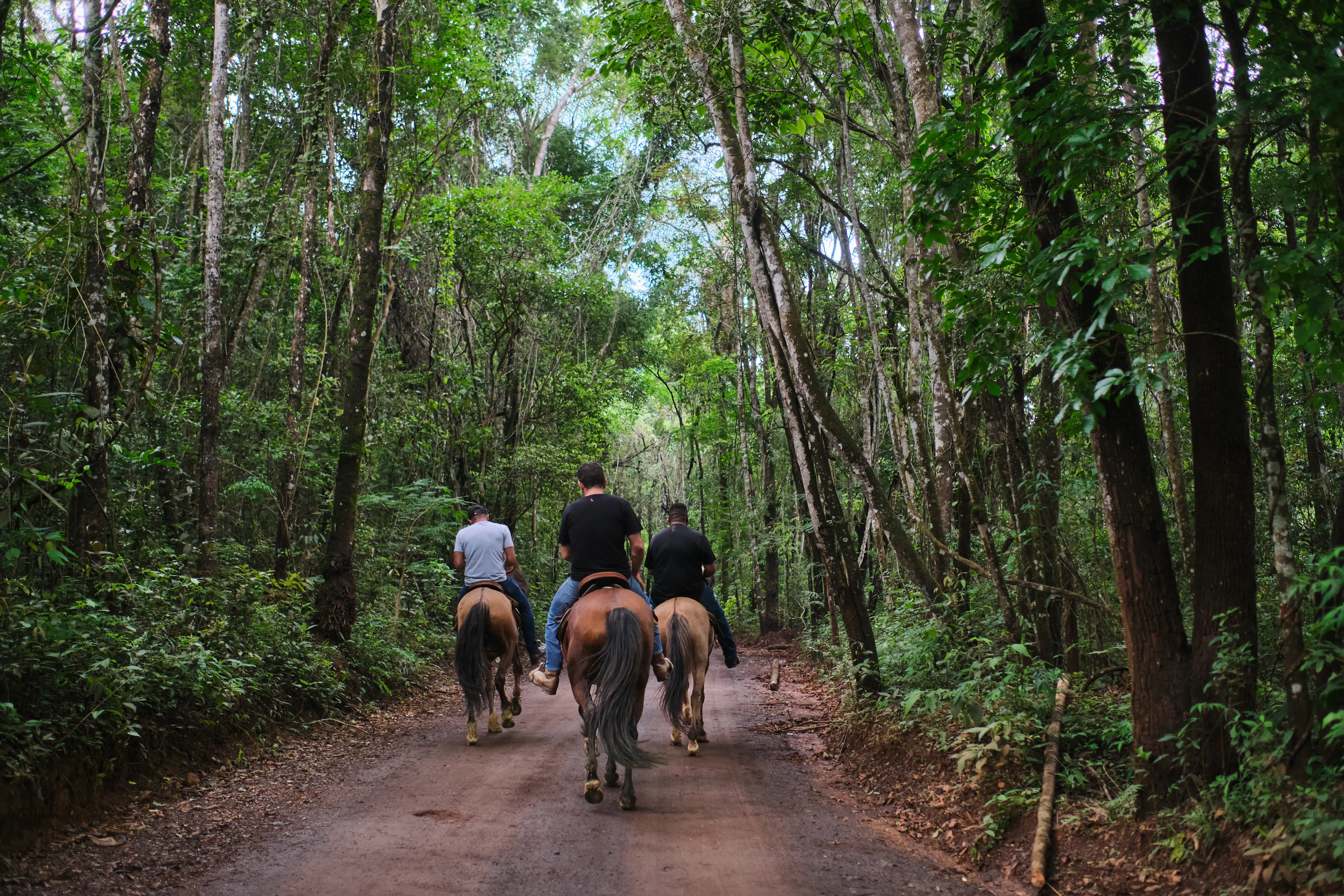 Estância Bemain - imagem 3