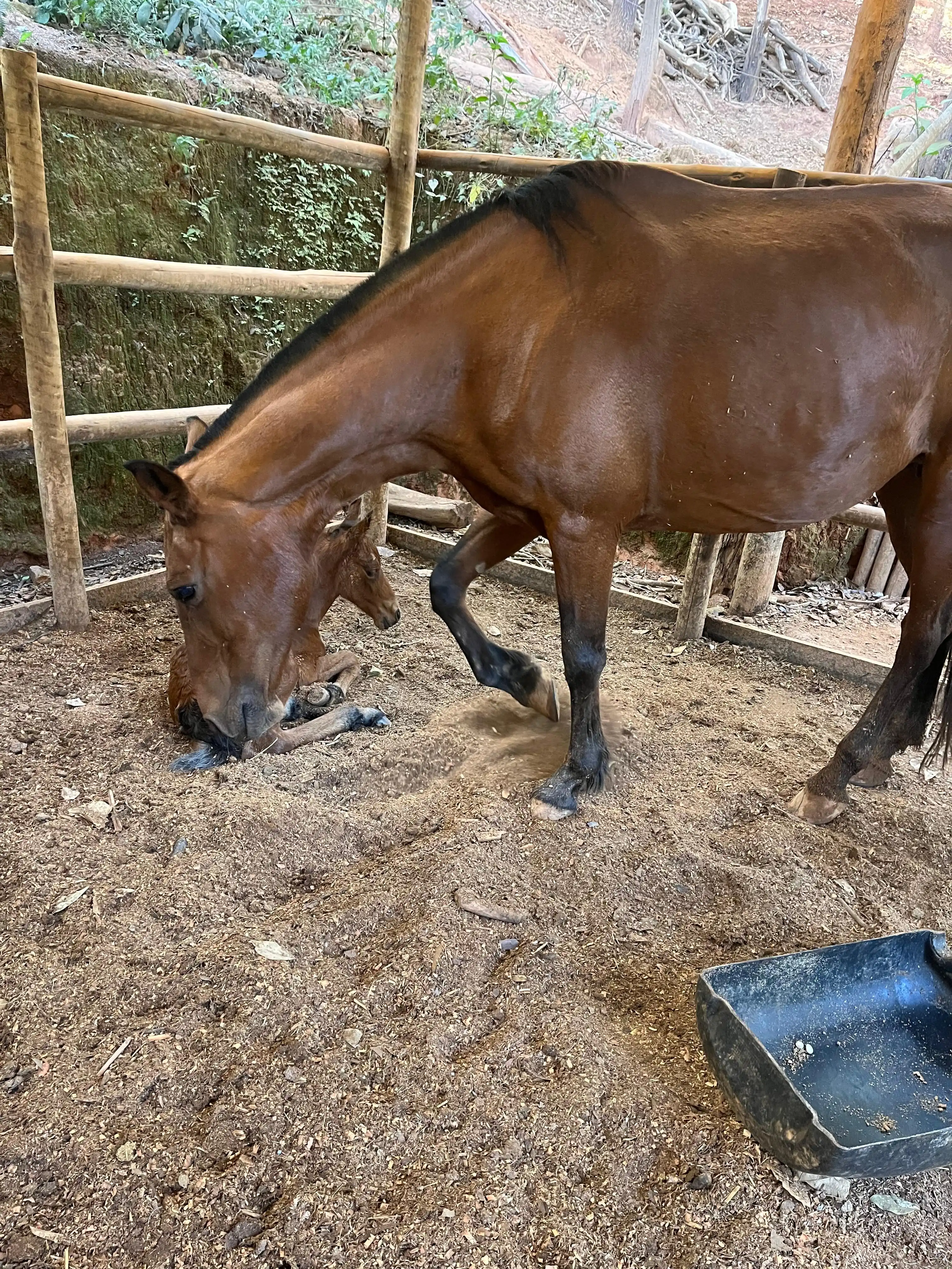 Estância Bemain - imagem 7