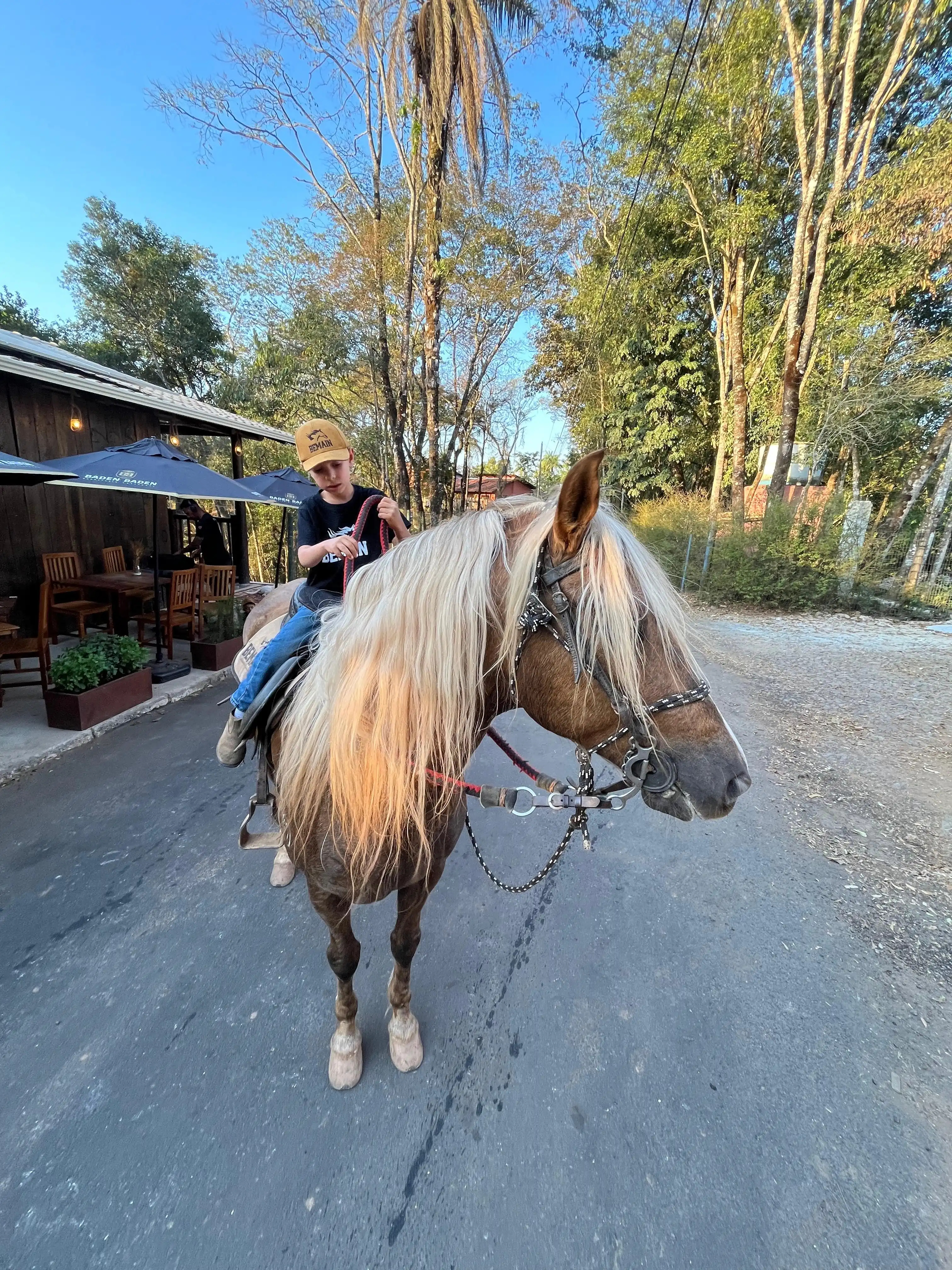 Estância Bemain - imagem 9