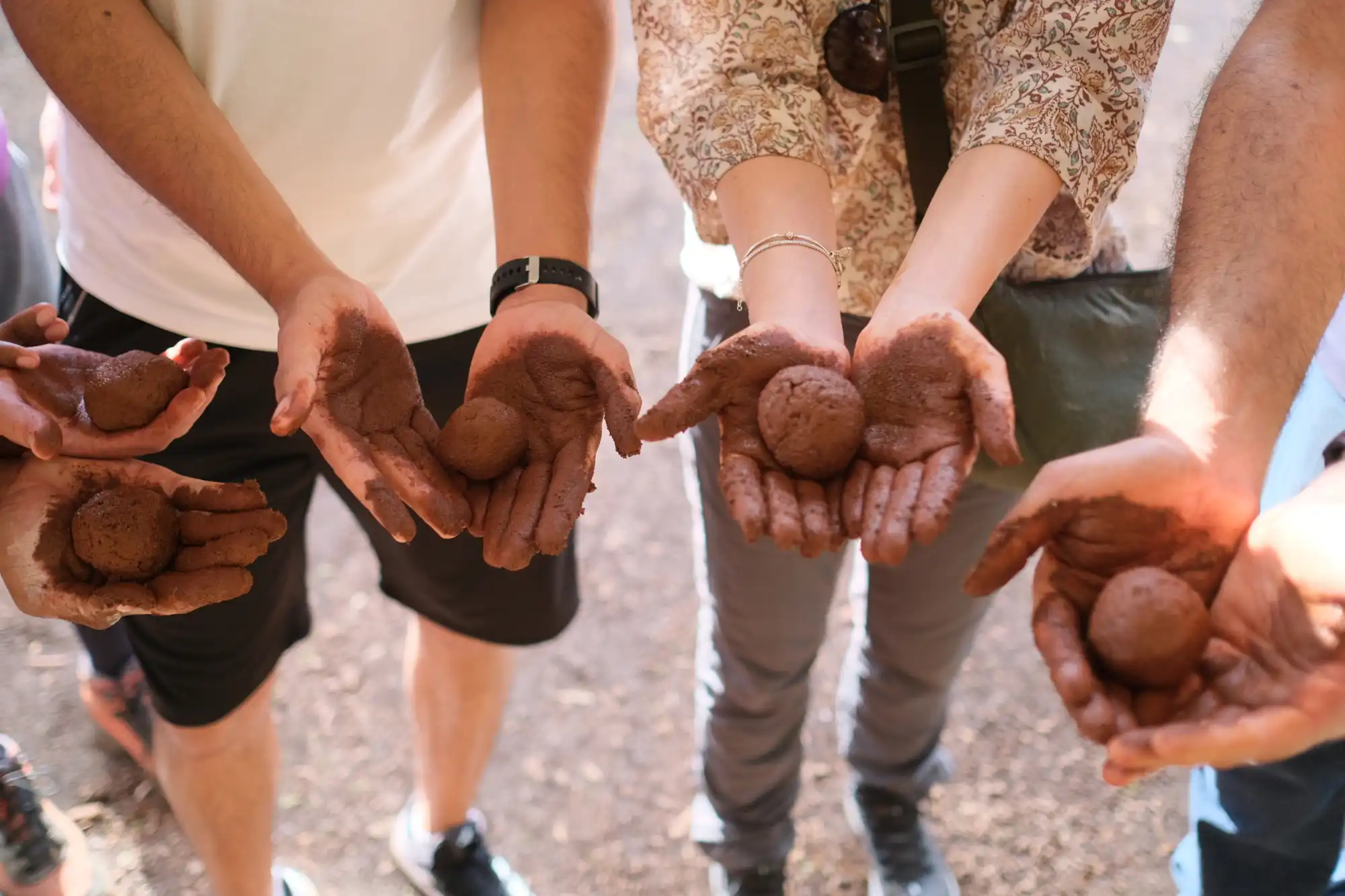 Instituto Bacia Viva - imagem 2