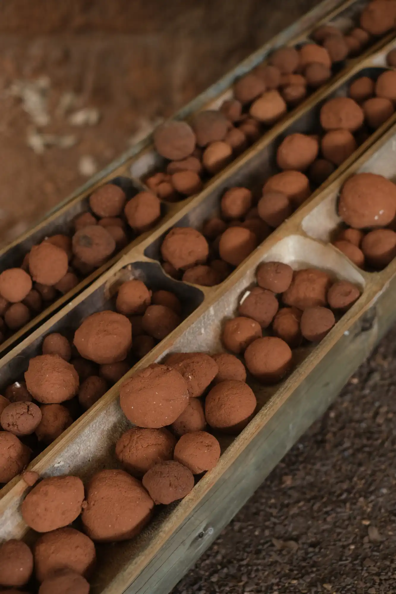 Instituto Bacia Viva - imagem 4