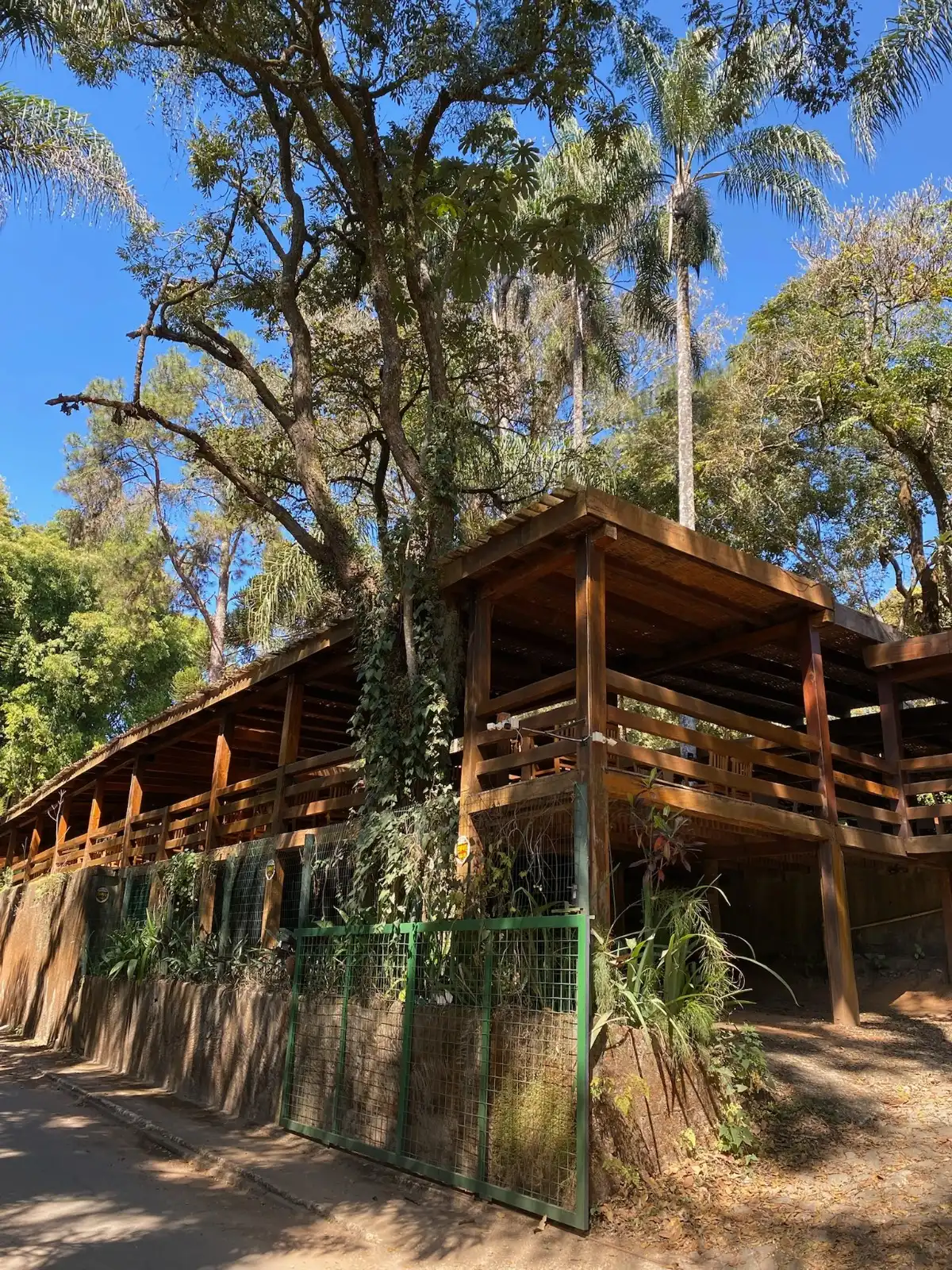 Sítio Bar - imagem 10