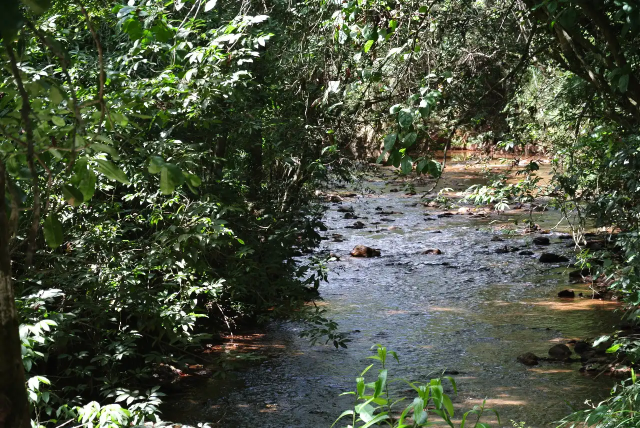 Recanto do Suíço - imagem 6