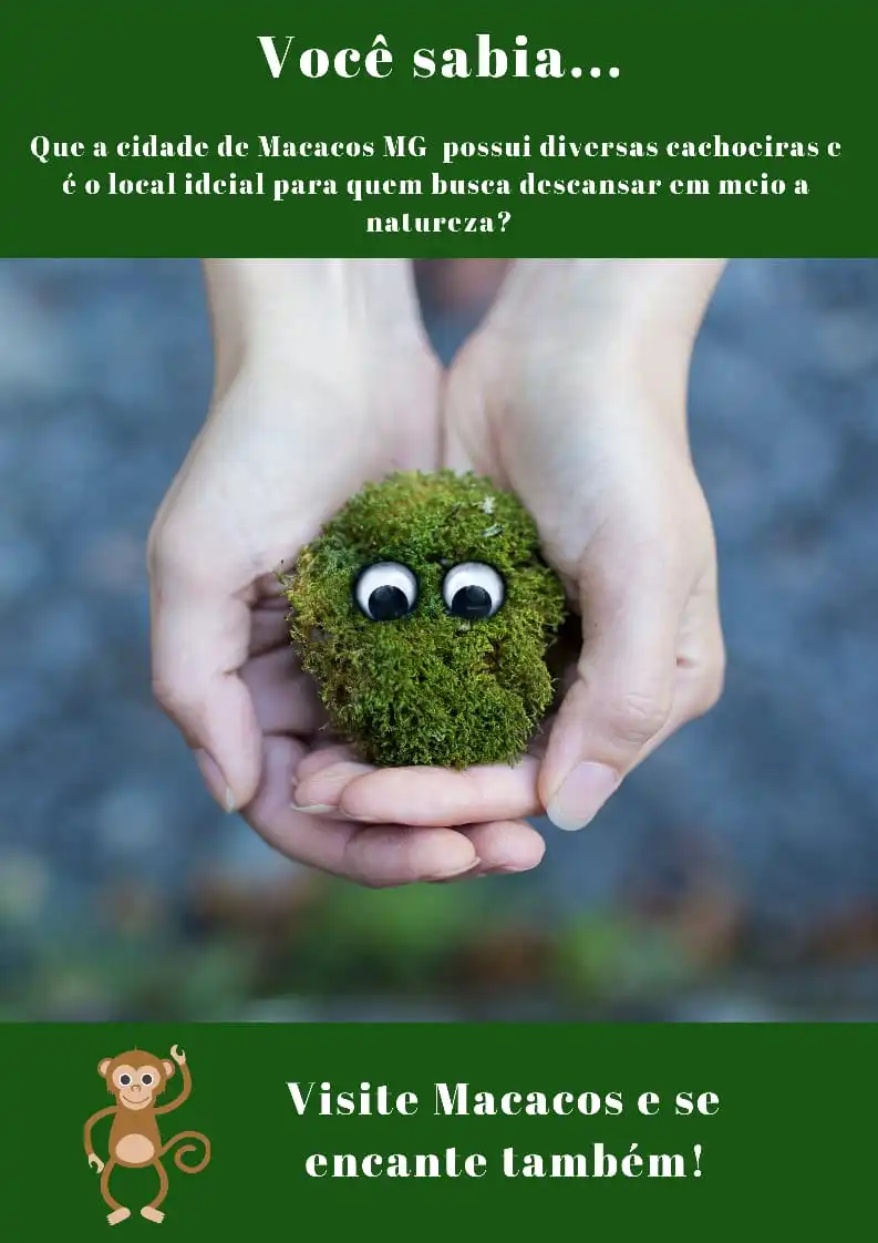 Recanto do Suíço - imagem 7