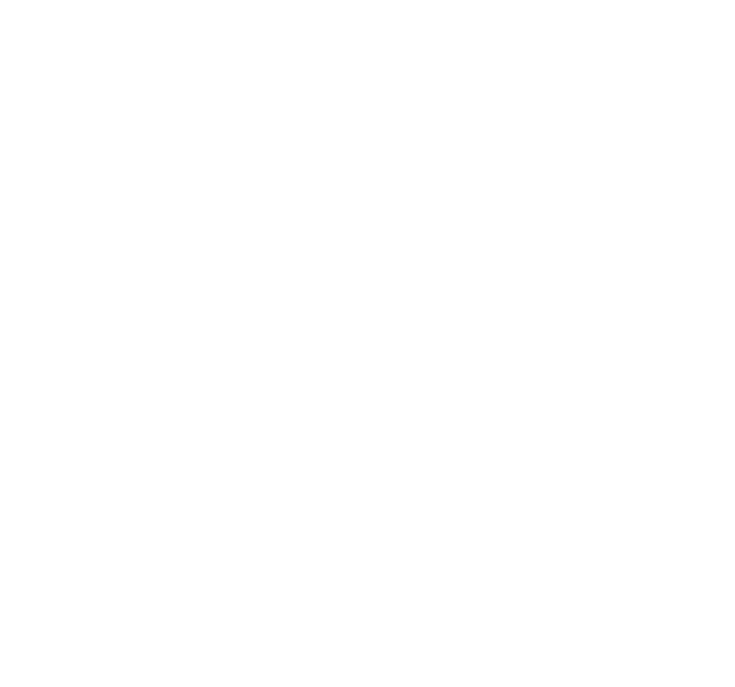 20action.png