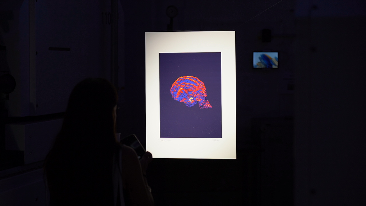 Una persona che guarda un'opera d'arte con un cervello rosso e blu.