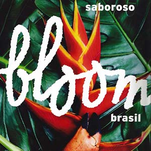 imagem de capa do projeto