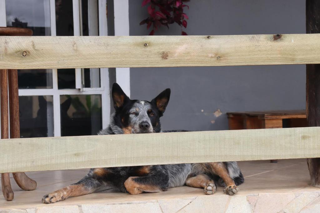 Casa Buena Vibra - imagem 15