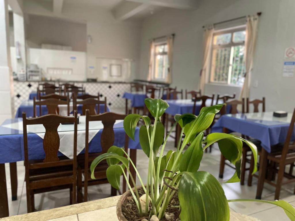 Hotel Calcinfer - imagem 7