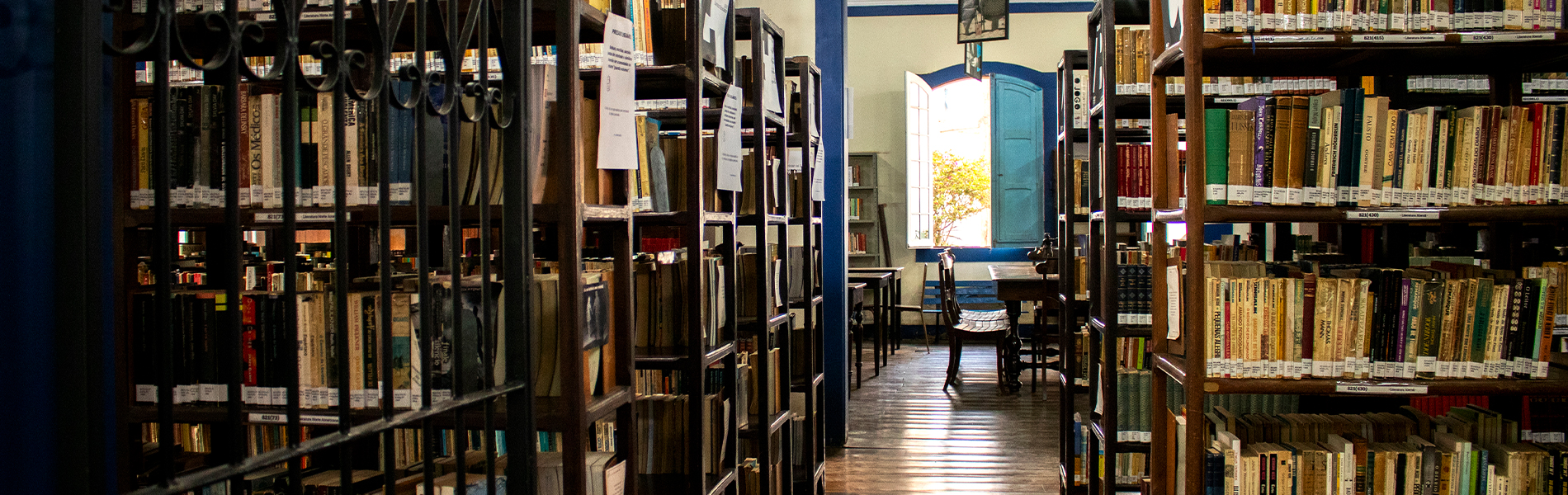 Biblioteca Pública Municipal Baptista Caetano d’Almeida - imagem 2