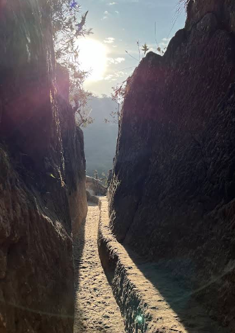 Parque Ecológico Municipal da Serra do Lenheiro - imagem 8