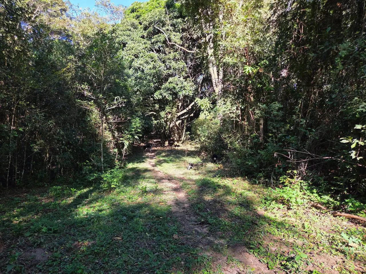 Natureza, Aventura e Hospitalidade no Refúgio do Lenheiro - imagem 10