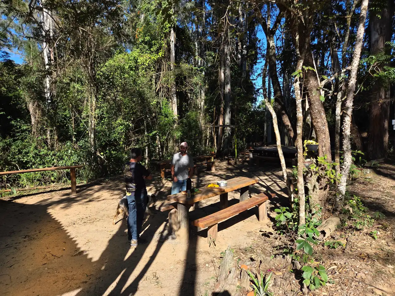 Natureza, Aventura e Hospitalidade no Refúgio do Lenheiro - imagem 4