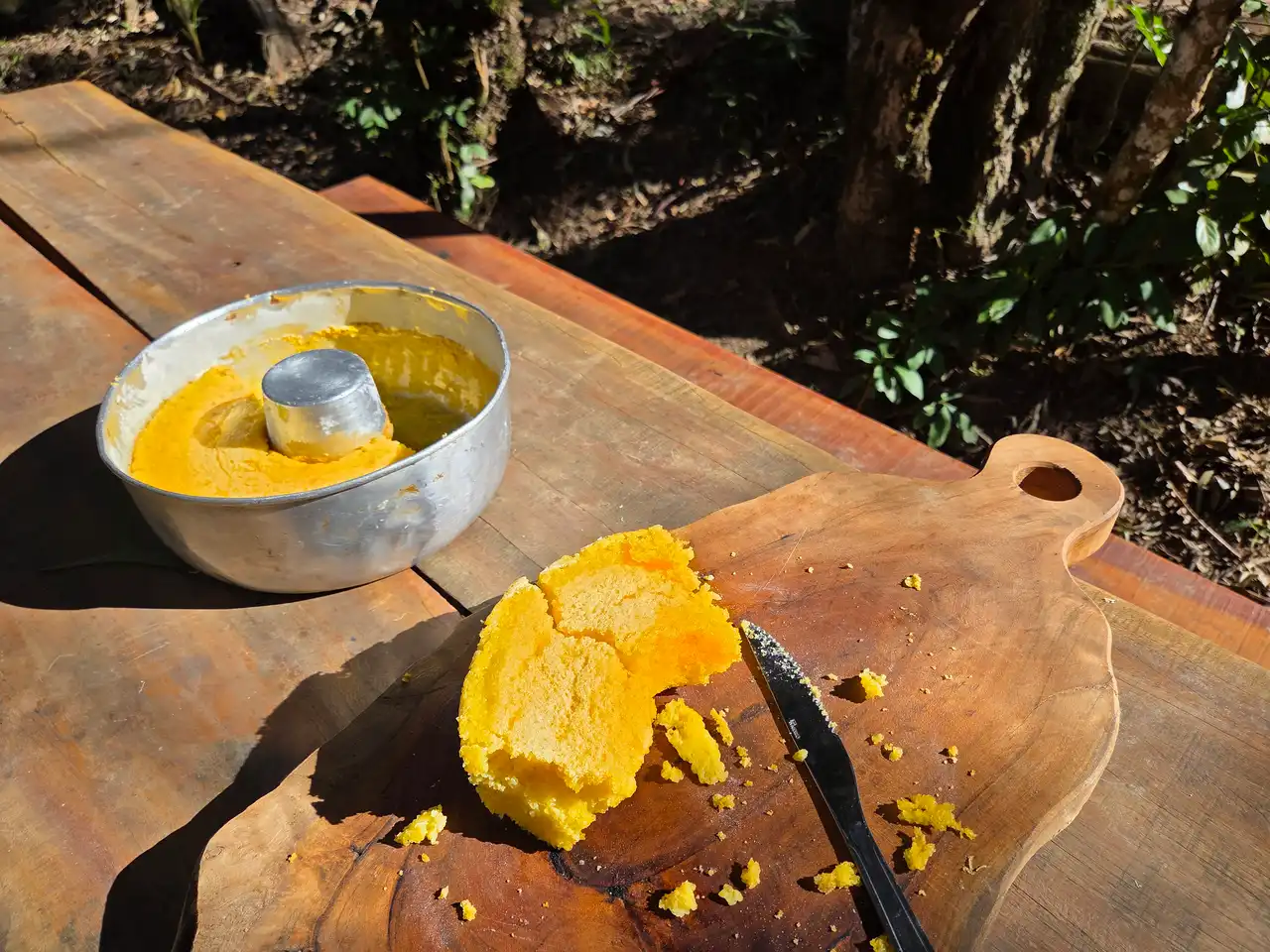 Natureza, Aventura e Hospitalidade no Refúgio do Lenheiro - imagem 6