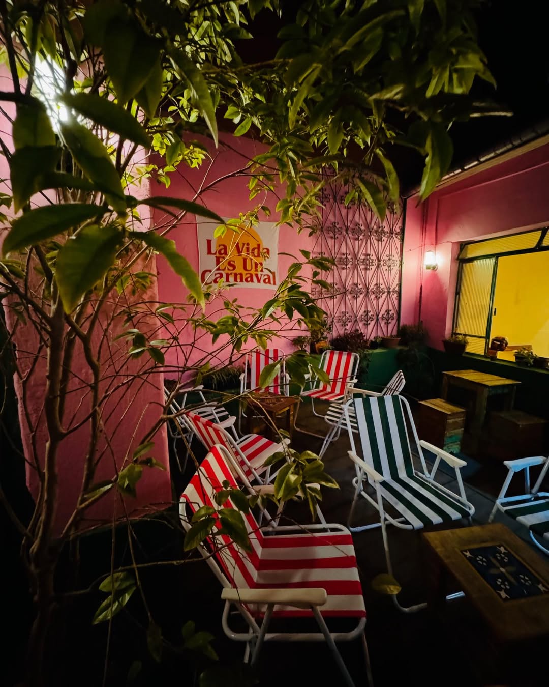 Novos Tacos - imagem 6