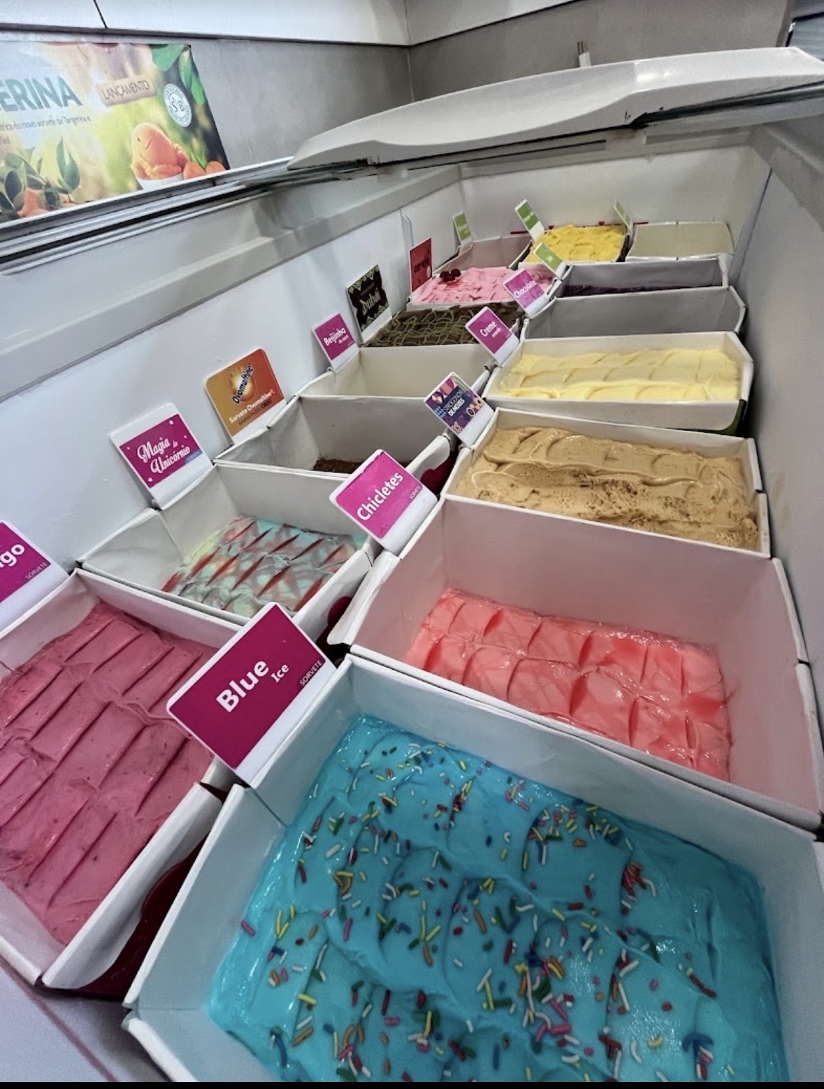 Sorveteria sol & neve - imagem 3