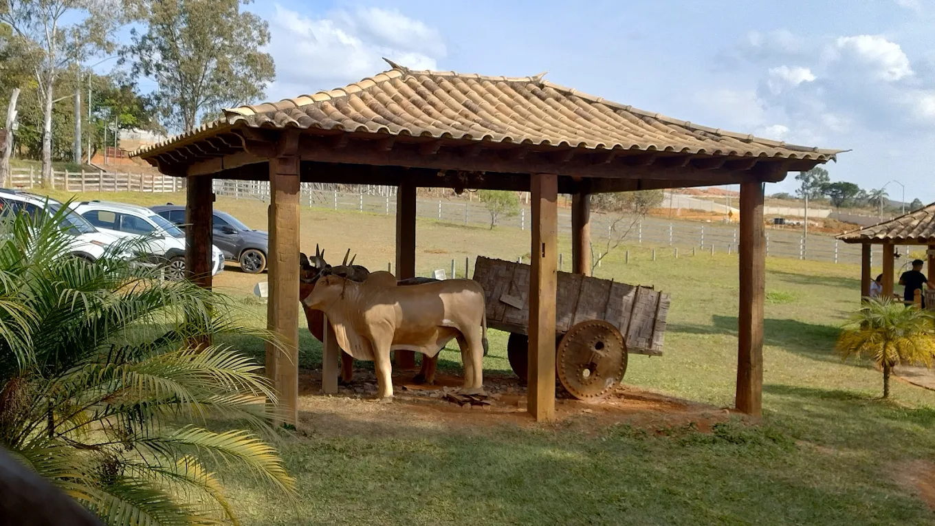 Tutu Gamela - imagem 5