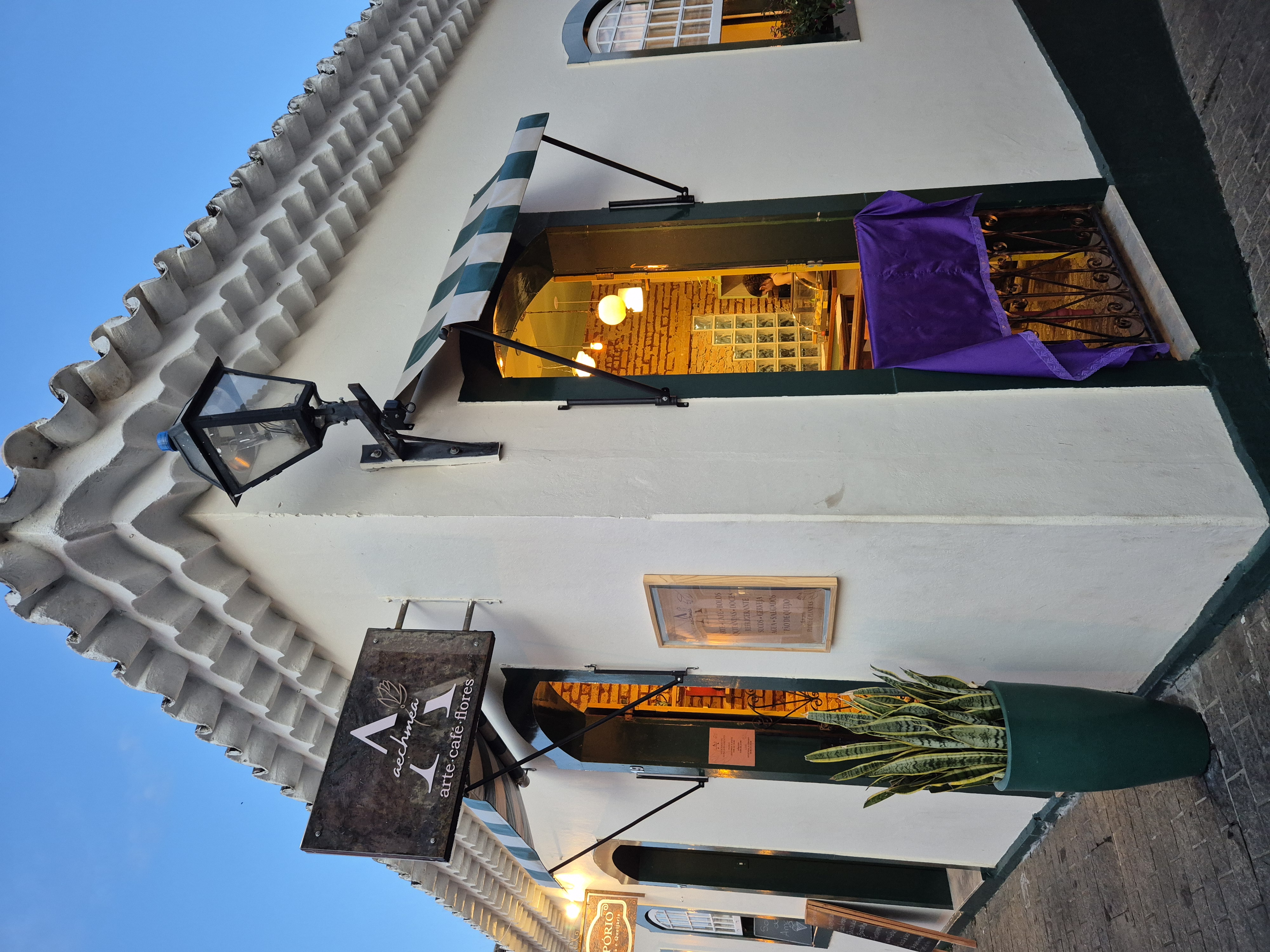 Aechmea arte café e flores