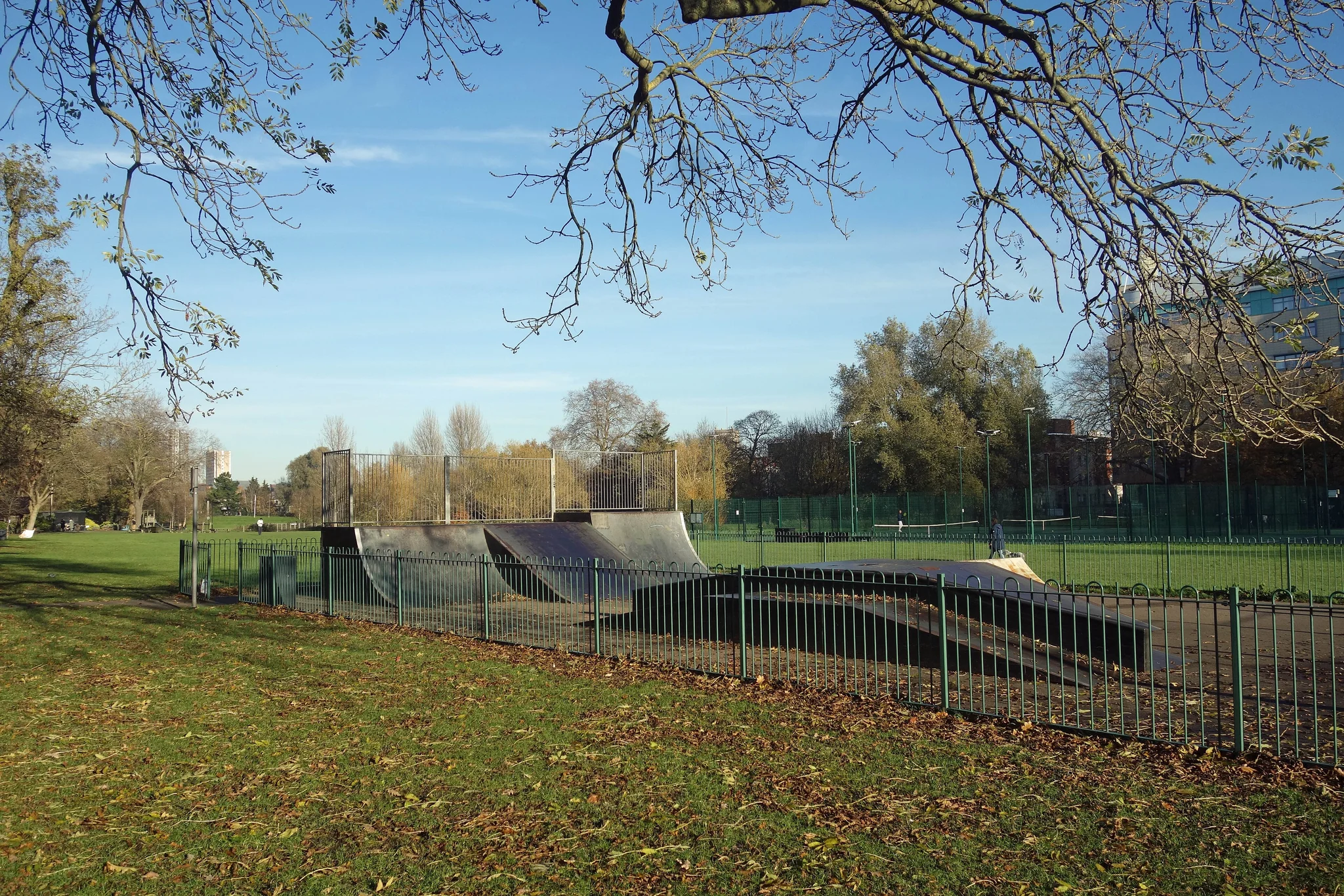 Foto de Ladywell Skate Park en Londres