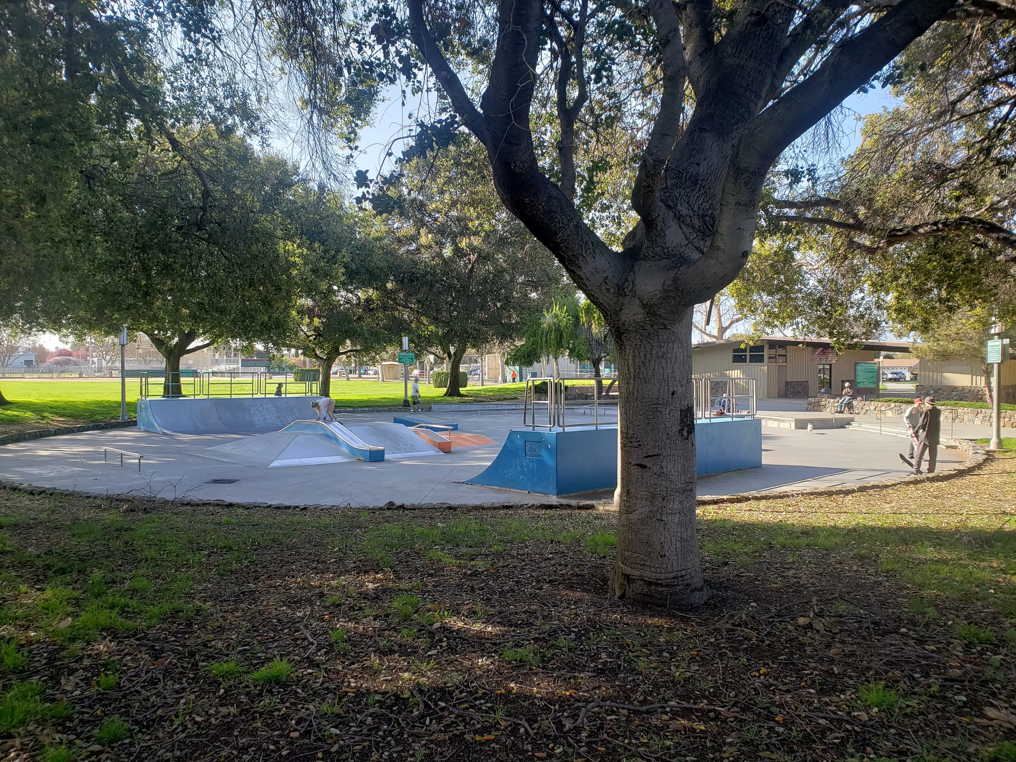Foto de Lakewood Park Skate Park en Sunnyvale