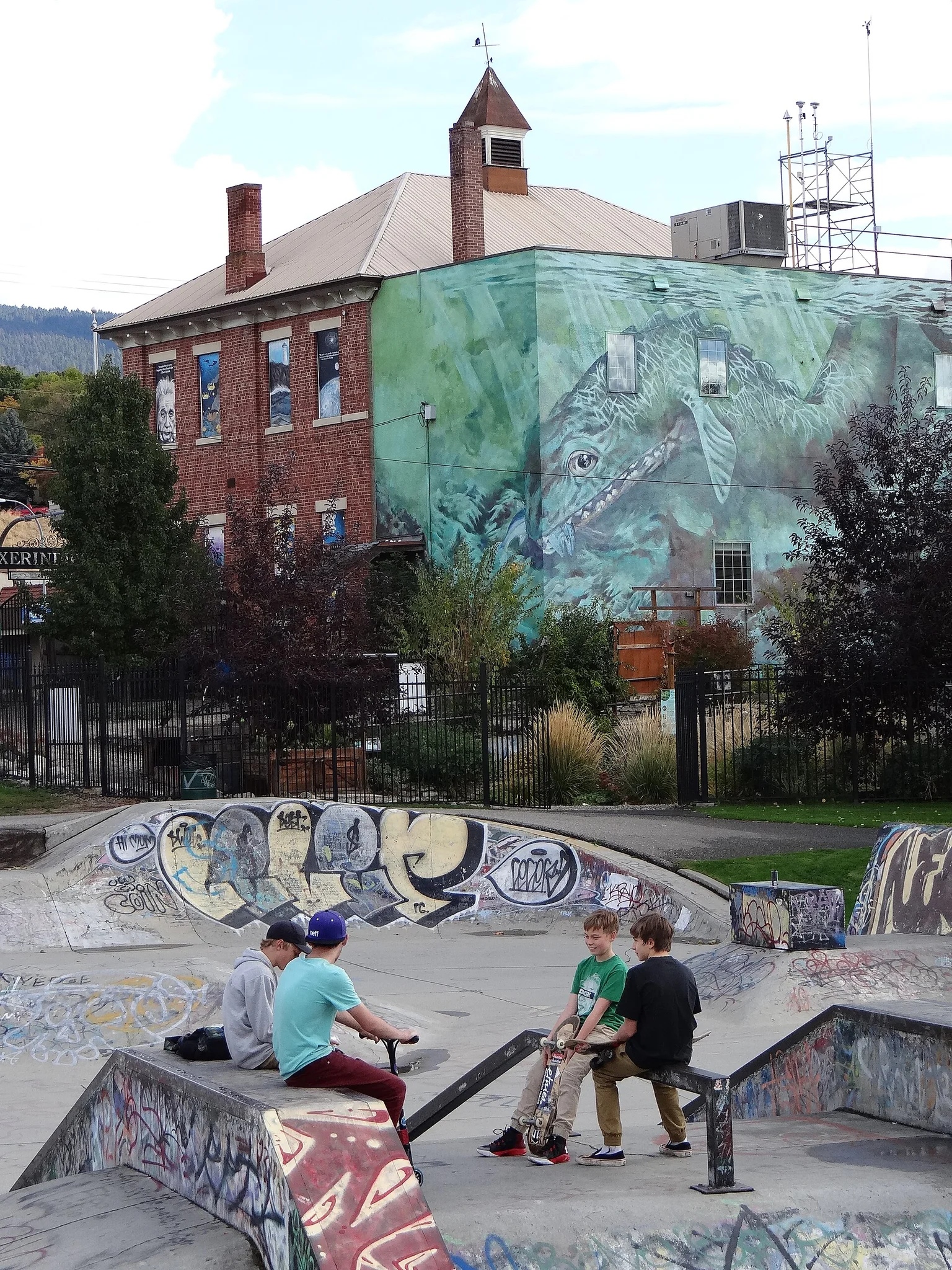 Foto de Polson Park Skatepark en Vernon