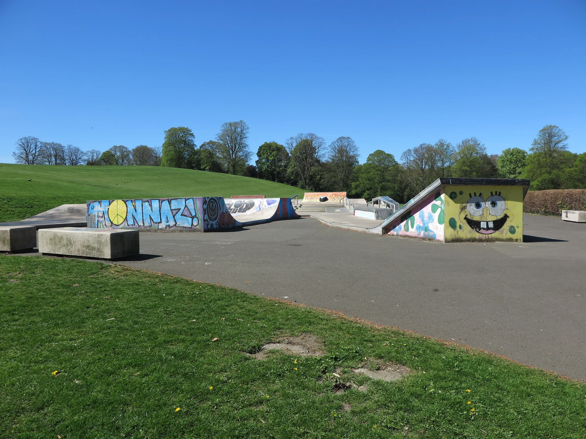 Foto de Sele Skatepark en Hexham